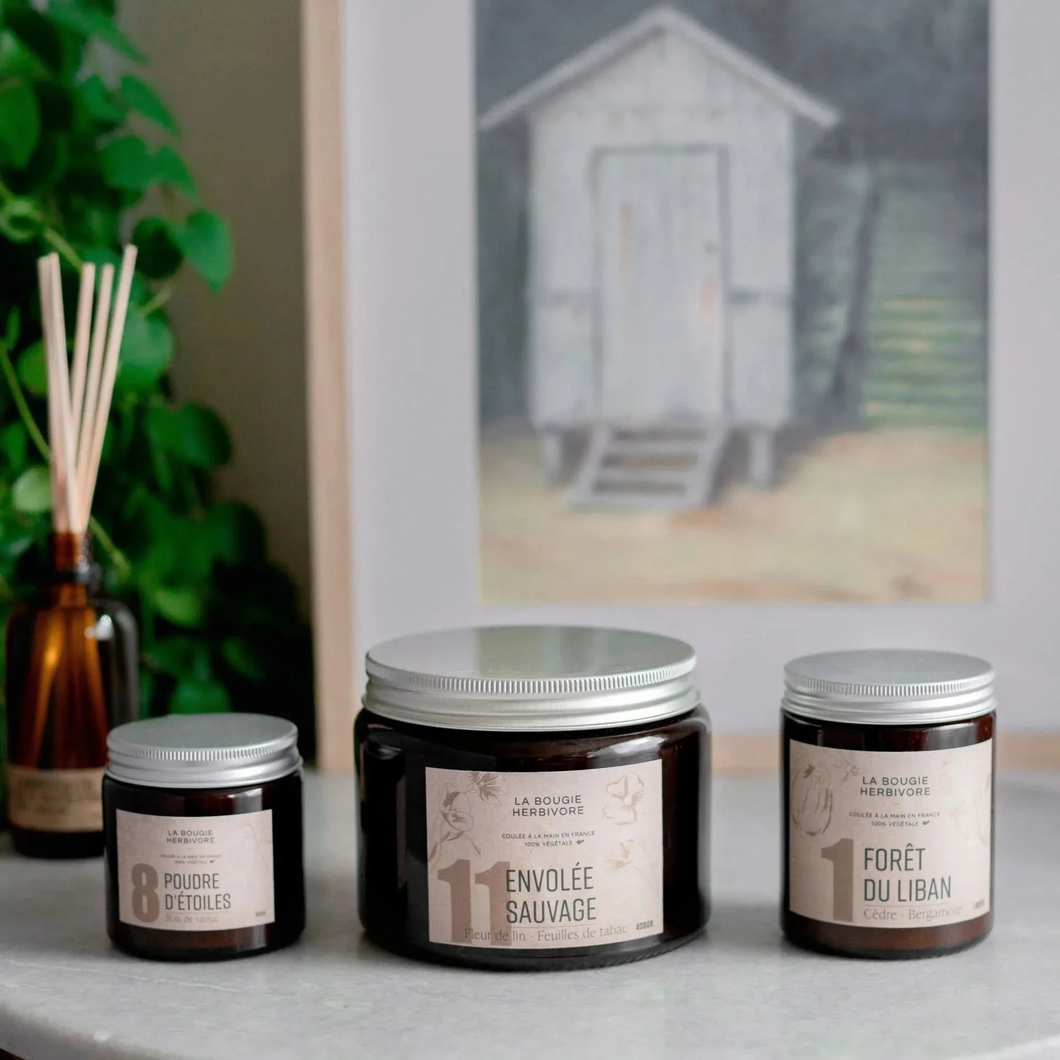 Collection de bougies parfumées Herbivore avec des senteurs envoûtantes inspirées de la nature