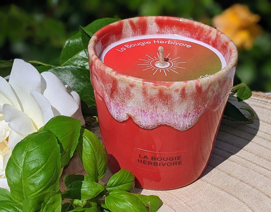Bougie Parfumée Tomate basilic - Pot en Grès Rouge - La Bougie Herbivore  BOUGIE_40H-PGTB 35.00 EUR