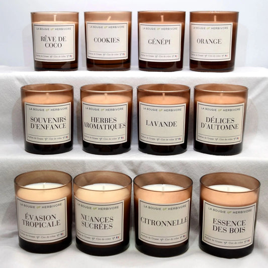 Pack d'implantation 12 bougies verre Ambré cire de Colza 180g La Bougie Herbivore Bougies