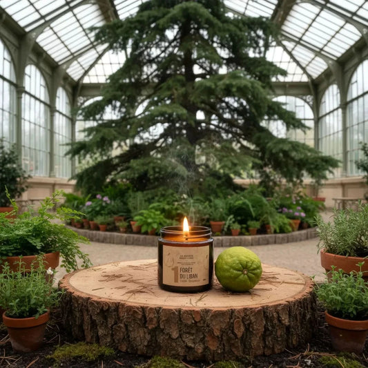 bougie parfumée cèdre bergamote forêt du Liban 100% naturelle