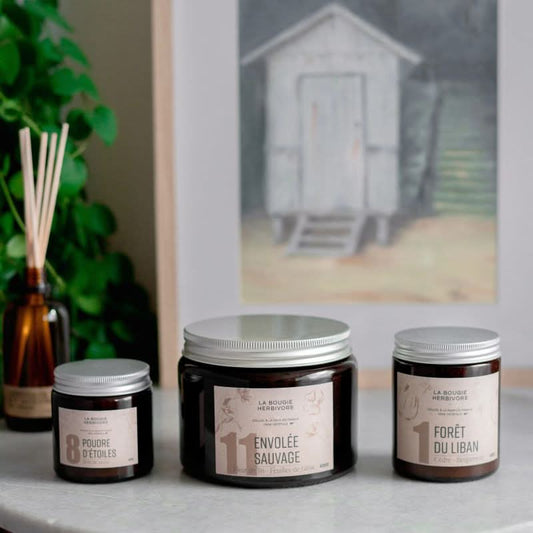 bougie envolée sauvage combustion propre