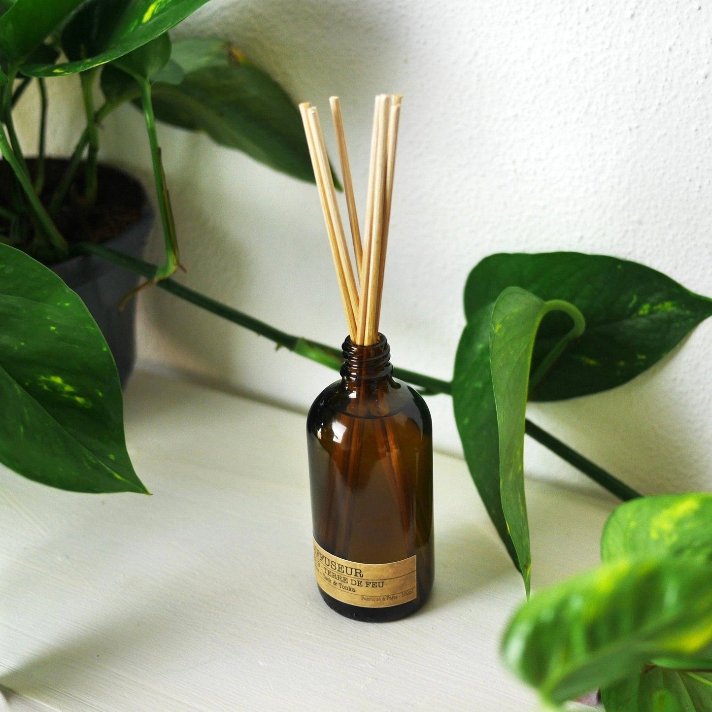 Diffuseur La Bougie Herbivore avec parfum feu de bois cèdre pour une atmosphère chaleureuse