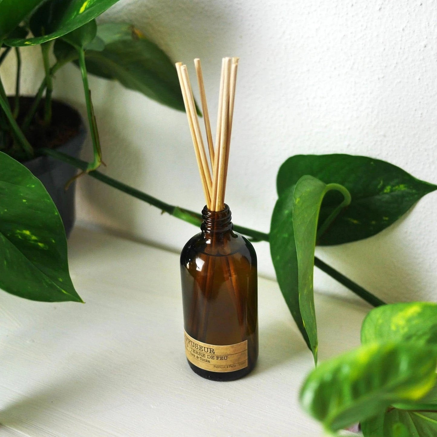 Diffuseur de parfum : No. 3 FIGUE ETERNELLE - Figue + Edelweiss La Bougie Herbivore