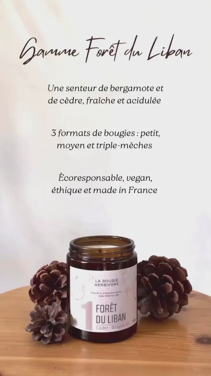 Vidéo la Bougie Herbivore Collection les Signatures