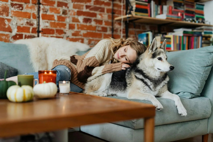 🐾 Quelles bougies choisir quand on a des chiens ou des chats à la maison ? - La Bougie Herbivore