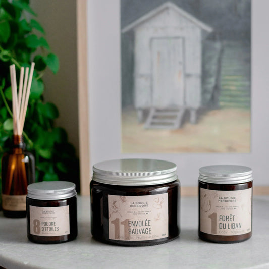 Forêt du Liban N°1 : L'Élégance Naturelle d'une Bougie Parfumée Artisanal Paris au Cèdre et Bergamote - La Bougie Herbivore