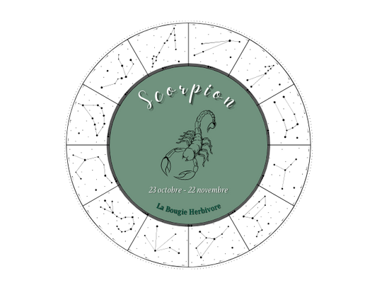 Le Scorpion, un signe astrologique complexe et sensible - La Bougie Herbivore
