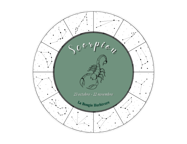 Le Scorpion, un signe astrologique complexe et sensible - La Bougie Herbivore