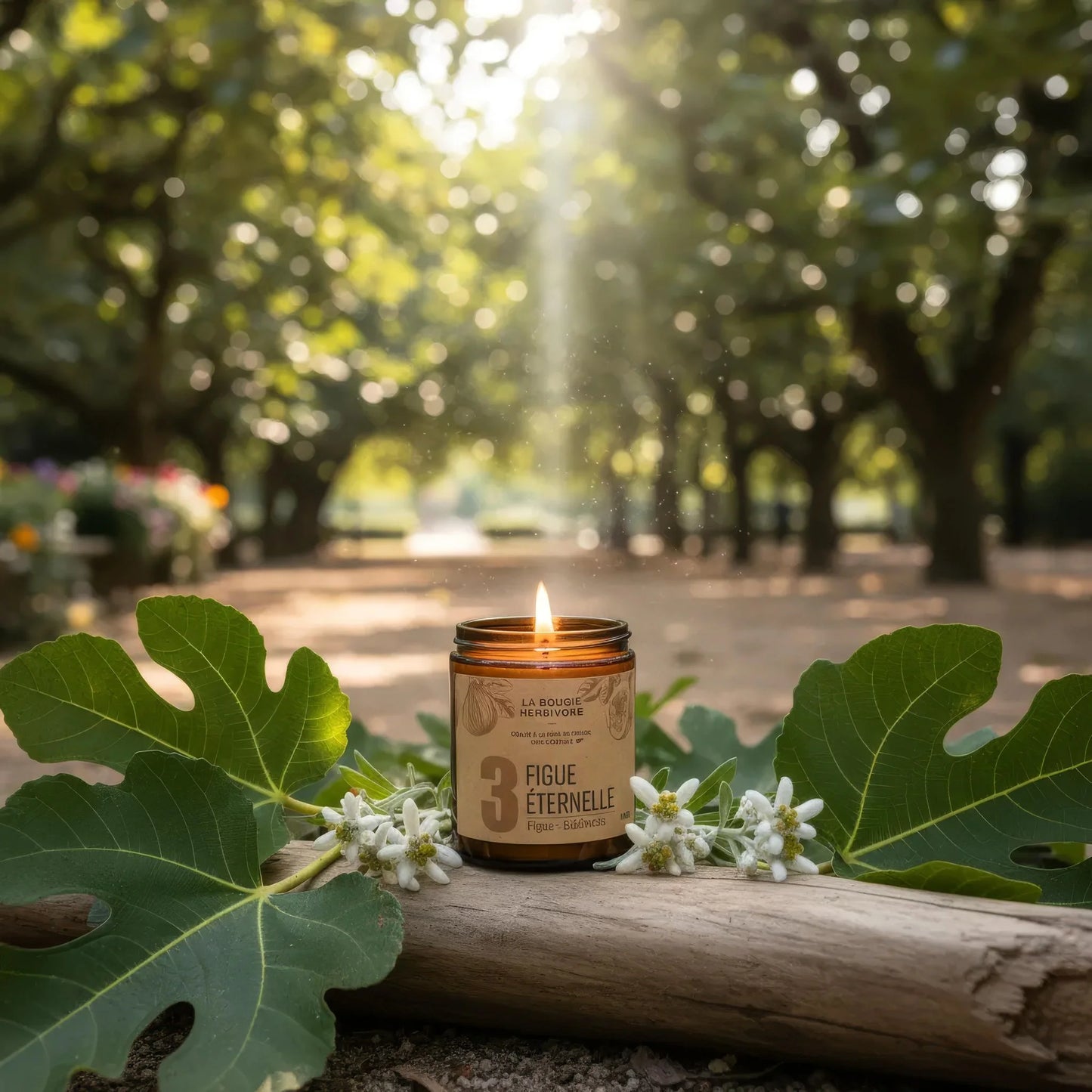 Bougie parfumée Figue Edelweiss No. 3 FIGUE ETERNELLE - La Bougie Herbivore  BOUGIE_25H/90G-N03 19.99 EUR