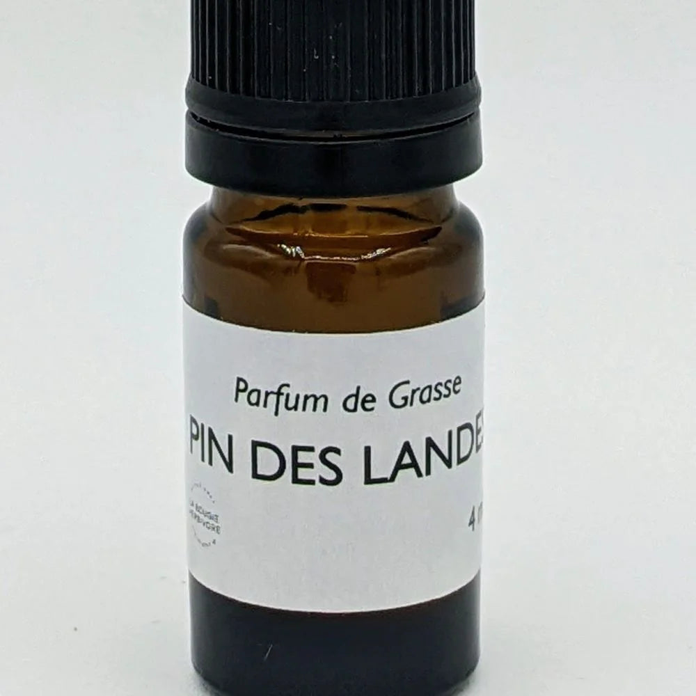 PARFUM BOUGIE POUDREE PIN DES LANDES 4 ML DISPO PARIS OU LAVAL