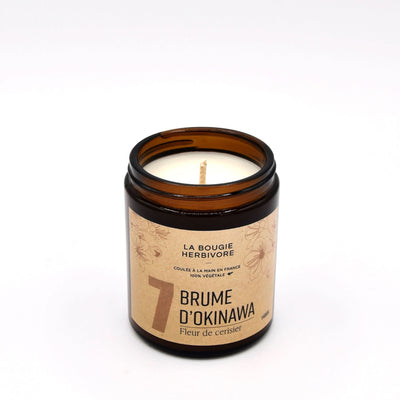 Bougies Parfumées Signature 140g – Choisissez parmi 12 parfums d’exception | La Bougie Herbivore - La Bougie Herbivore  BOUGIE-140G-N01 28.00 EUR