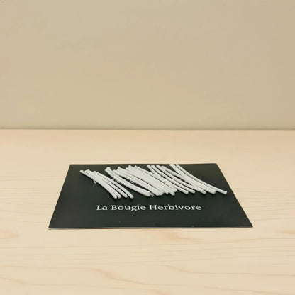 Mèche bougie Poudrée 40 Mèches pour bougie de sable