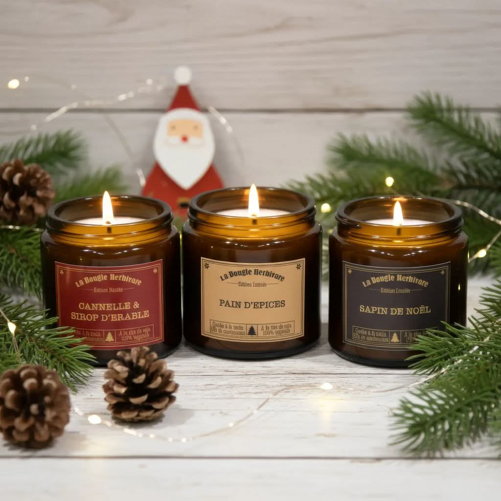  3 bougies parfumées de 90g chacune :
Cannelle/Sirop d’Érable. Pain d’Épices. Sapin de Noël 