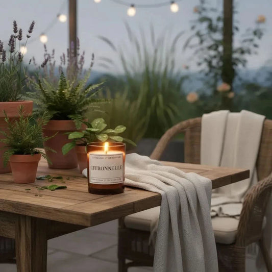 Bougie Parfumée Citronnelle - d'été'' à la cire de Colza 100% bio - La Bougie Herbivore