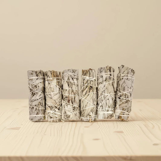 Sauge Blanche en vrac – 6 bâtons