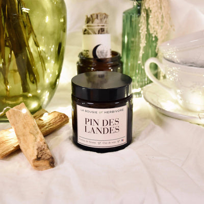 Bougie parfumée pin des Landes de La Bougie Herbivore avec un design élégant et ambiance conviviale