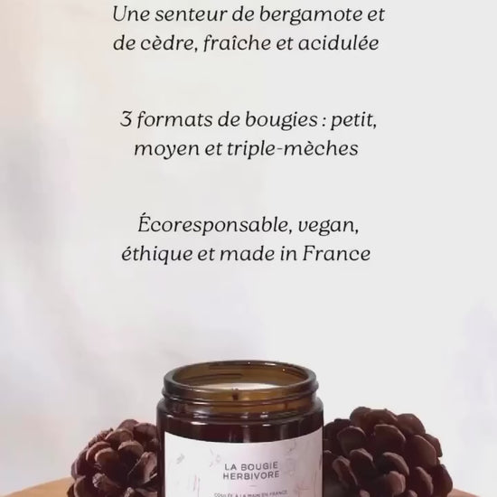 Vidéo la Bougie Herbivore Collection les Signatures